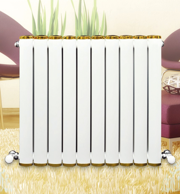 ��������ɢ����